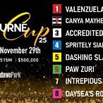 where to bet on melbourne cup